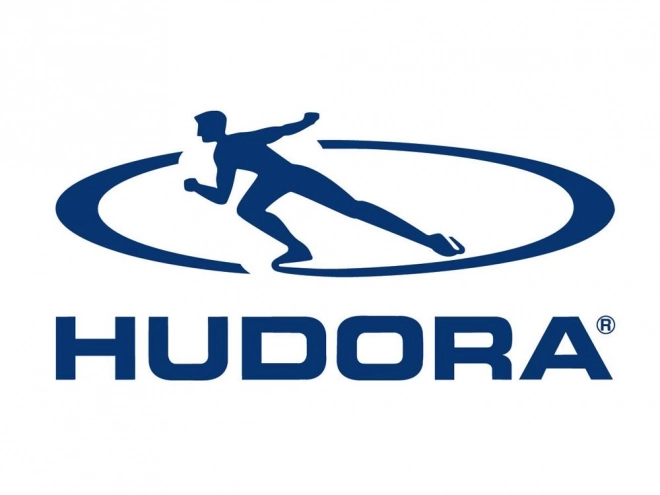 Dlouhý skateboard Hudora CruiseStar