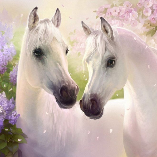 Sada na diamantové malování - bílí zamilovaní koně