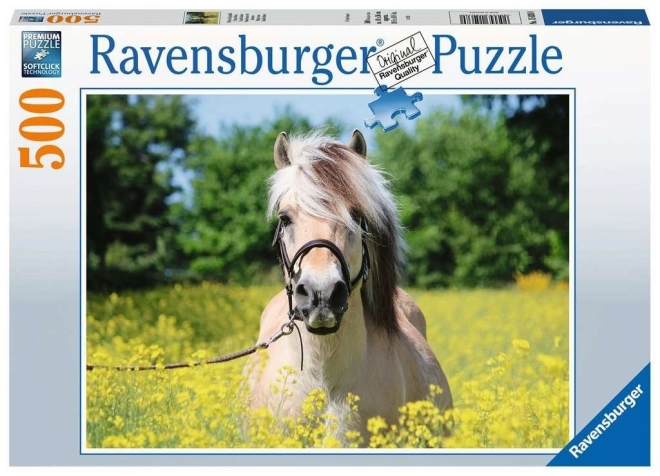 Puzzle Bílý kůň 500 dílků