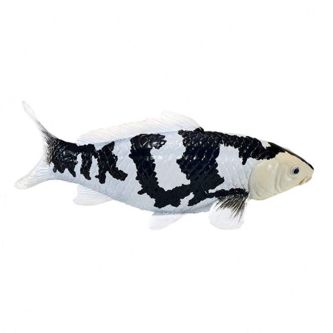 Mojo kapr Koi Shiro Utsuri