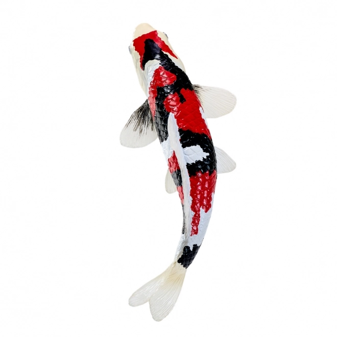 Mojo kapr koi showa sanshoku
