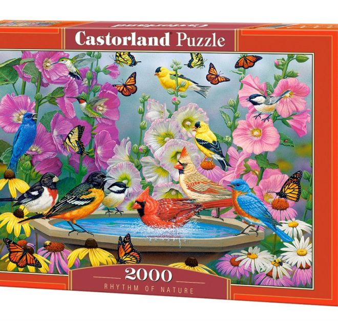 Puzzle 2000 prvků Ptáci Rytmus přírody