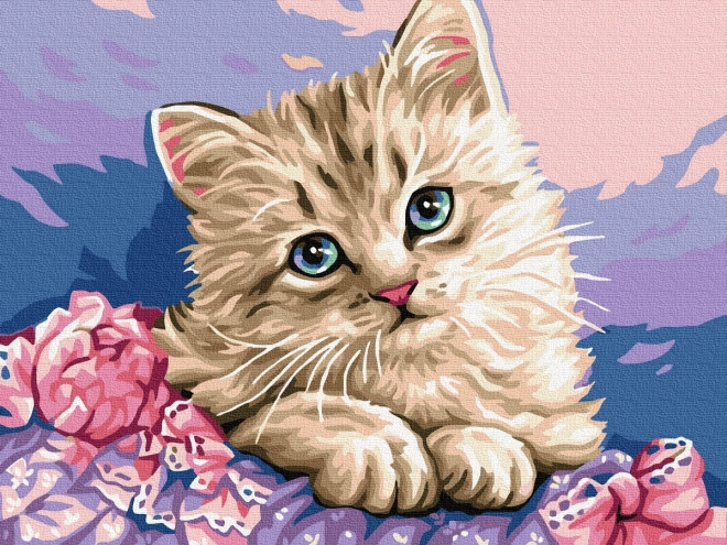 Malování podle čísel Modrooká kočka 40x50 plátno + barvy + štětce