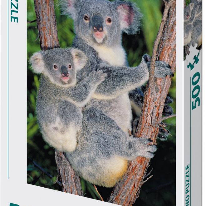 DINO Puzzle Koaly na stromě 500 dílků