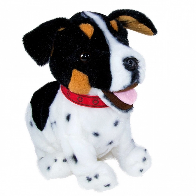 Figo interaktivní maskot Jack Russel Terrier pes reagující na povely