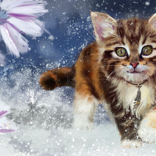 Sada na diamantové malování - koťátko ve sněhu