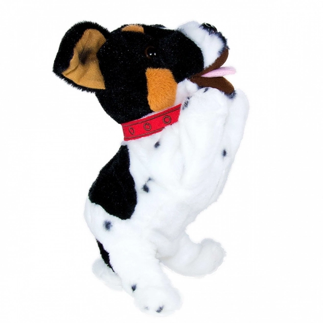 Figo interaktivní maskot Jack Russel Terrier pes reagující na povely