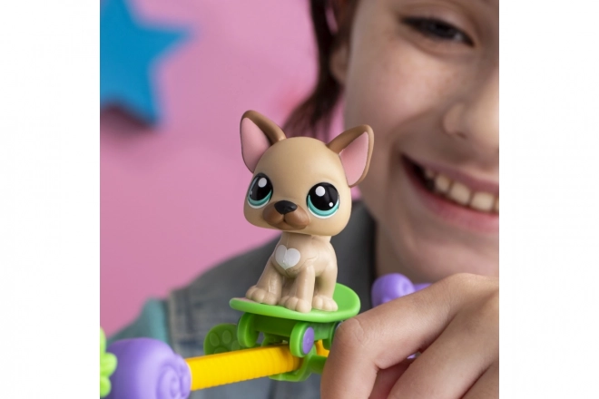 Littlest Pet Shop herní sada Zvířátka mají talent