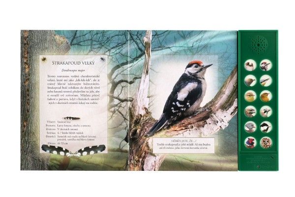 Zvuková knížka - Ptáci našich lesů