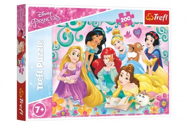 Puzzle Šťastný svět princezen/Disney Princess 200 dílků 48x34cm v krabici 33x23x4cm