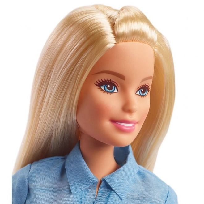 Barbie Dreamhouse Adventures Panenka Barbie na cestách