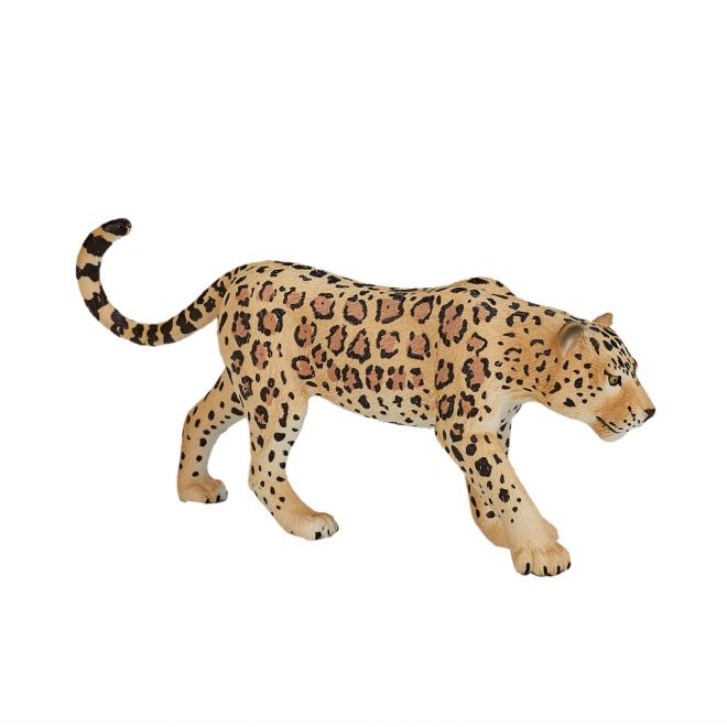 Mojo Leopard