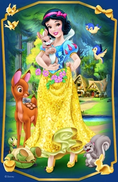 Minipuzzle Krásné princezny/Disney Princess 54dílků 4 druhy v krabičce 6x9x4cm 40ks v boxu