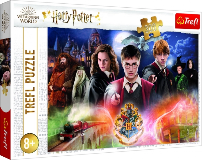 Tajemný Harry Potter puzzle 300 dílků