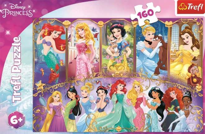 Puzzle Portréty princezen Disney 41x27,5cm 160 dílků v krabici 29x19x4cm