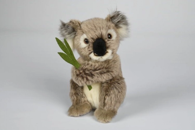 Plyšová koala 30 cm