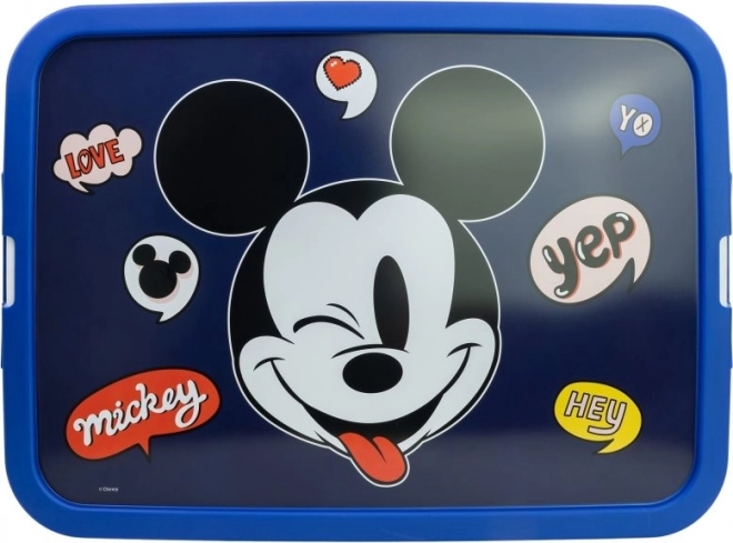 Úložný box s motivem Mickeyho