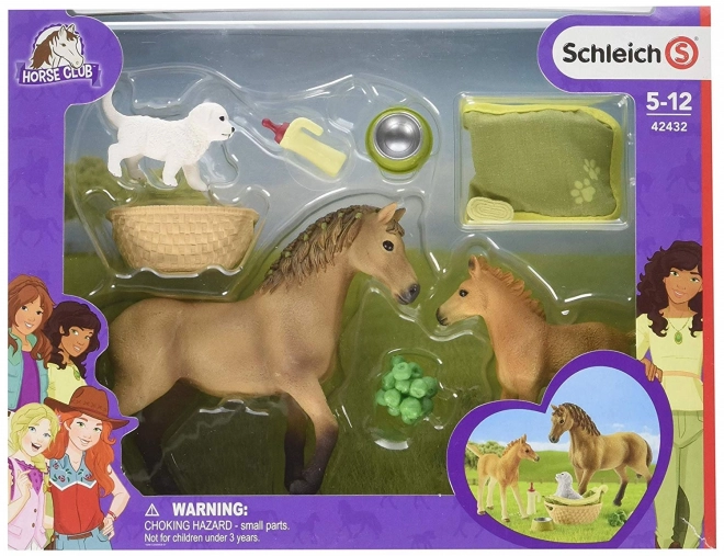 SCHLEICH Horse Club® 42432 Set hříbě a Quarter kůň se štěňátkem a doplňky