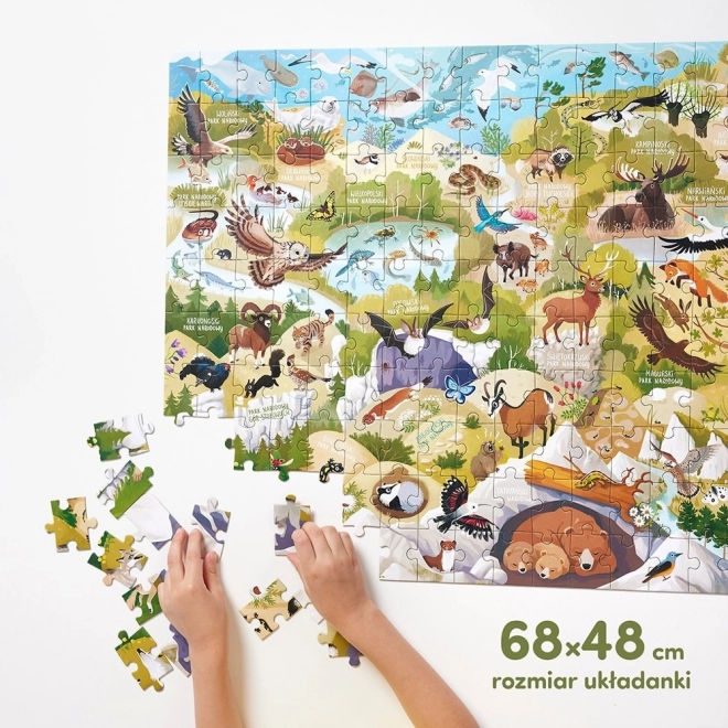 CzuCzu Dziké puzzle národních parků