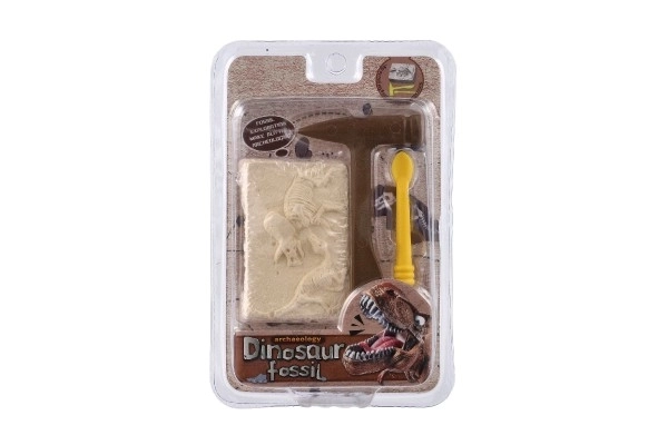 Malý archeolog dinosaurus fosilie plast 2 barvy v blistru 12,5x19x5cm 12ks v boxu