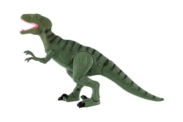 Dinosaurus chodící IC velociraptor plast 50cm na baterie se zvukem se světlem v krabici 53x32,5x12cm