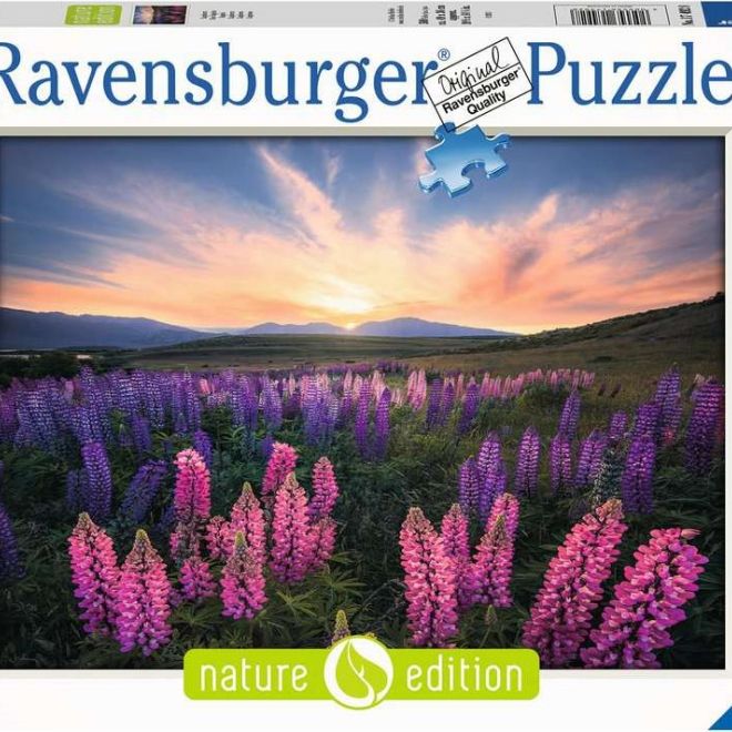 RAVENSBURGER Puzzle Vlčí boby 500 dílků