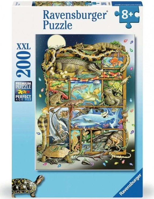 Puzzle Ryby a Plazi XXL