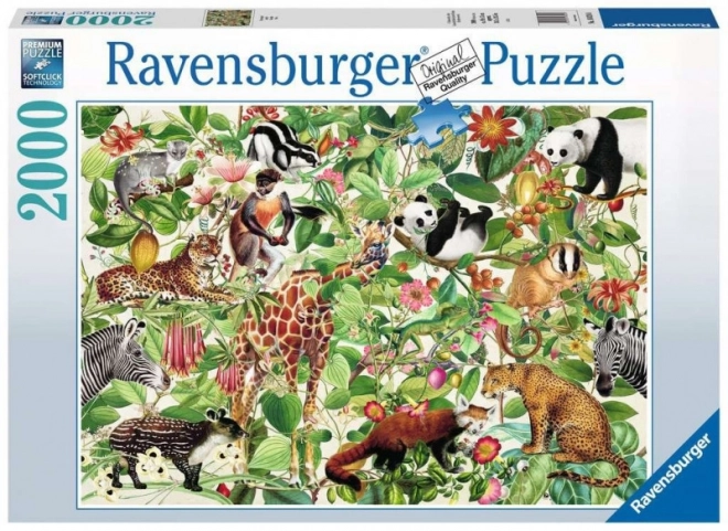 Puzzle 2000 prvků Jungle