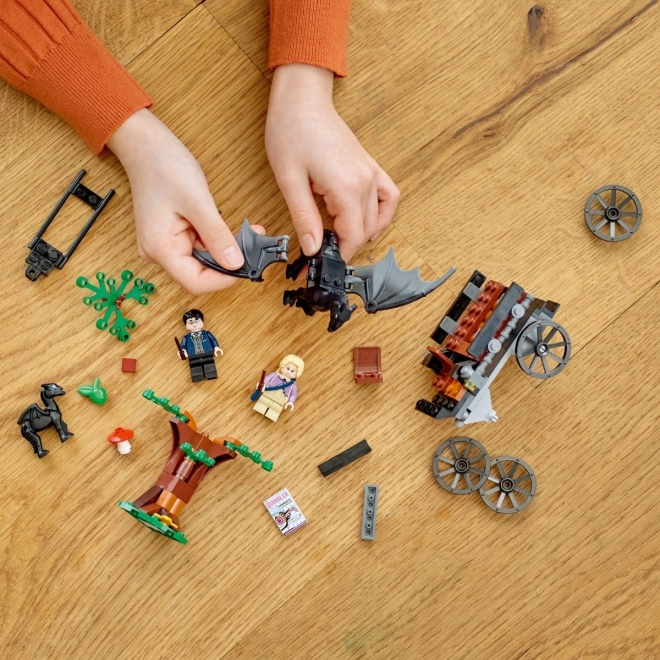 LEGO Harry Potter 76400 Bradavice: Kočár a testrálové