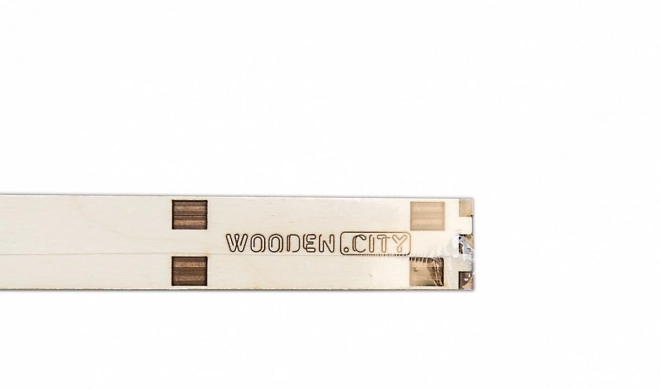 Wooden City Dřevěná mapa světa velikost M (57x38cm)