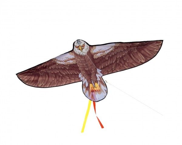 Hnědý létající orel - 138 x 69 cm