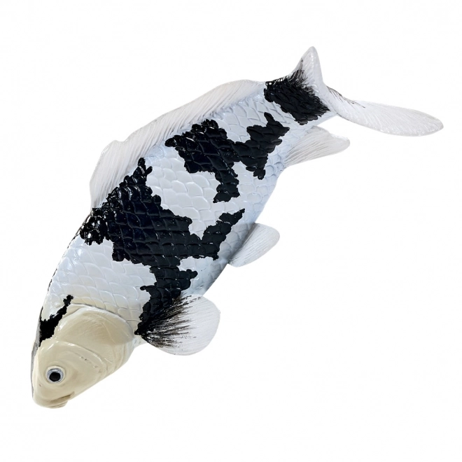 Mojo kapr Koi Shiro Utsuri