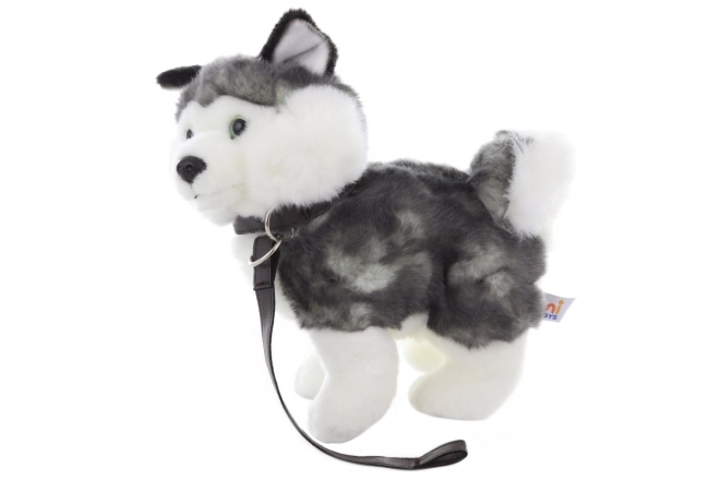 Plyš Husky s vodítkem 25 cm