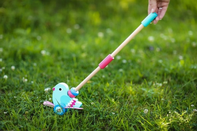 Adam Toys push bird