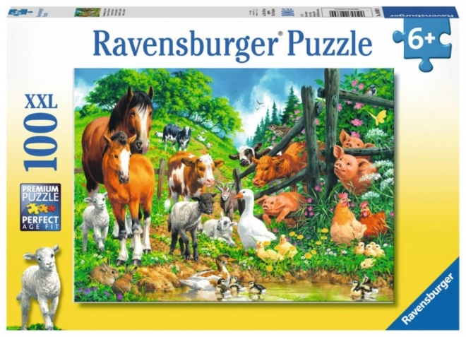 RAVENSBURGER Puzzle Zvířátka XXL 100 dílků