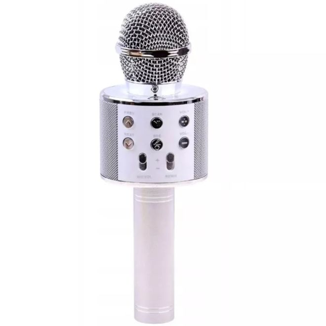 Bezdrátový karaoke mikrofon s reproduktorem – Stříbrný