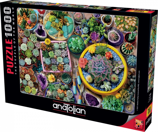 ANATOLIAN Puzzle Kaktusové květináče 1000 dílků