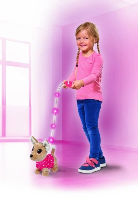 CCL Pejsek čivava Twinkle