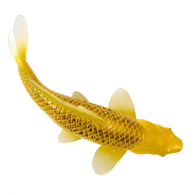 Mojo kapr koi Matsuba