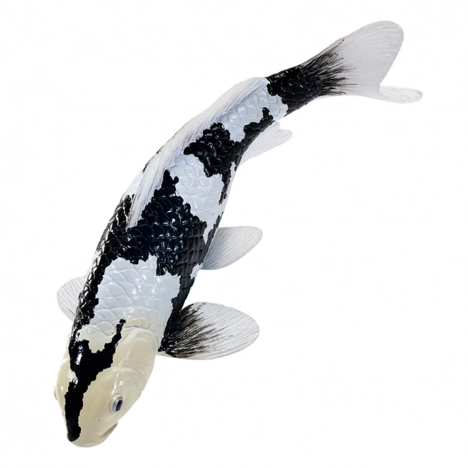 Mojo kapr Koi Shiro Utsuri