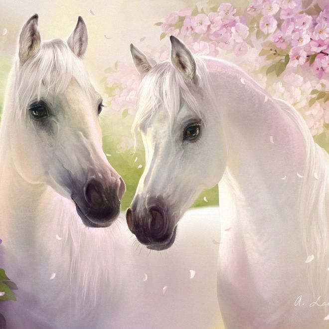 Sada na diamantové malování - bílí zamilovaní koně