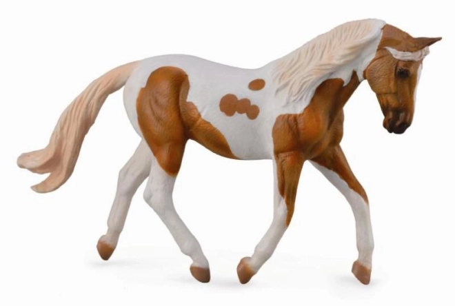 Collecta palomino hříbě