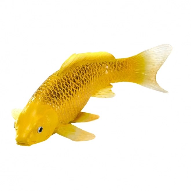 Mojo kapr koi Matsuba