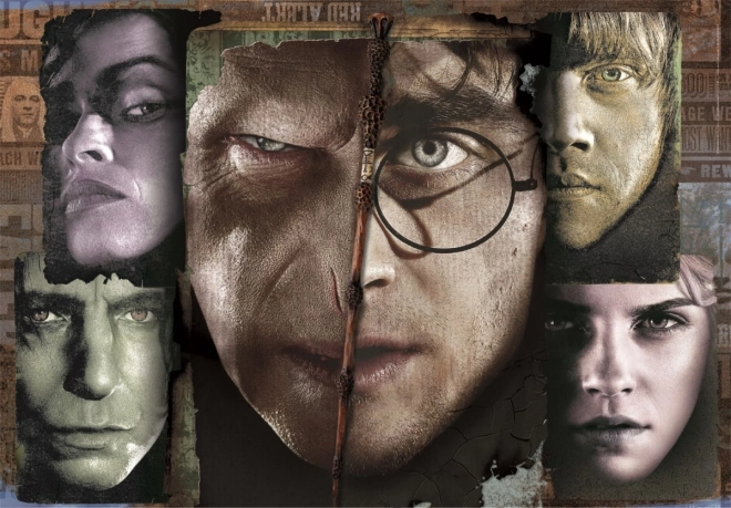 Puzzle 1000 dílků Kompaktní Harry Potter