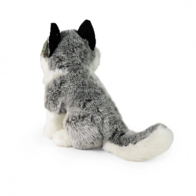 Plyšový husky 30 cm Eco-friendly