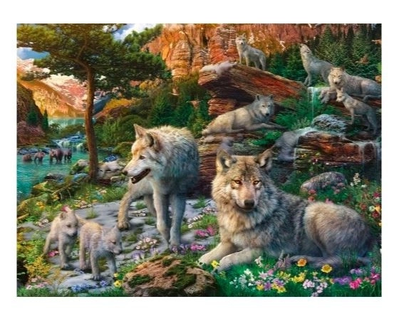 2D puzzle 1500 prvků Jarní vlci