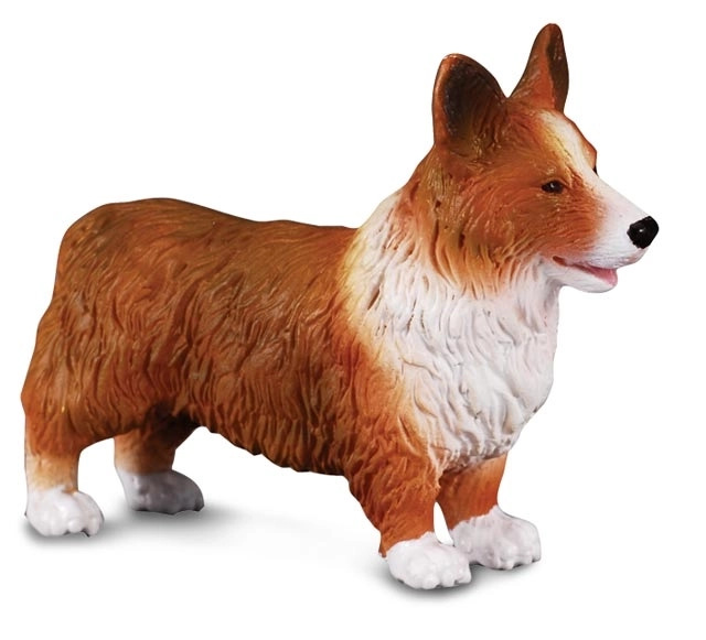 Figurka psa Welsh Corgi CollectA