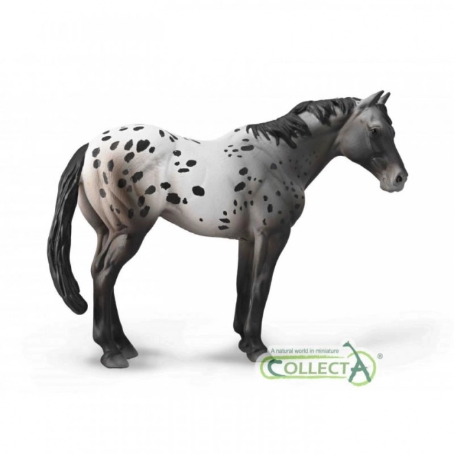 Collecta appaloosa modrý grošák