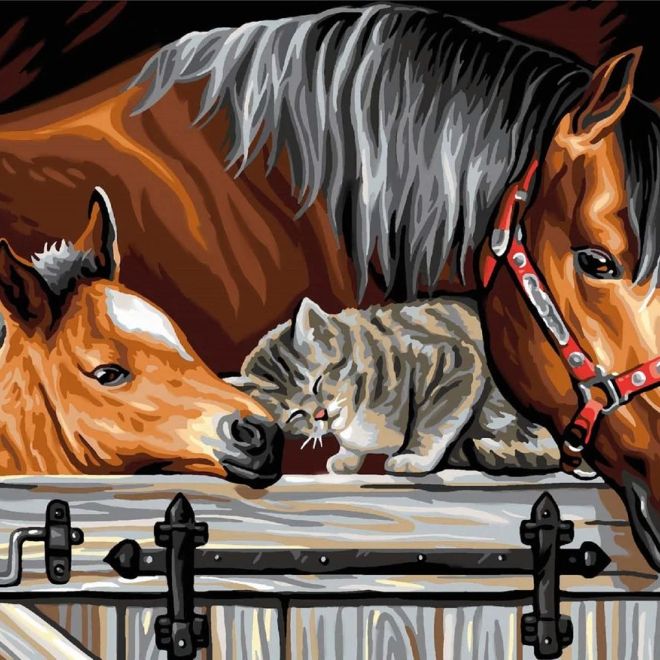 Sada na diamantové malování - koně s kočkou