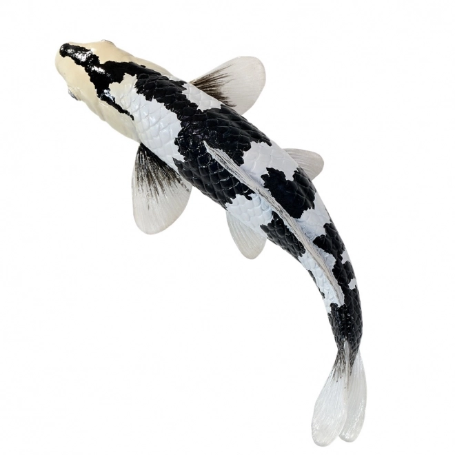 Mojo kapr Koi Shiro Utsuri